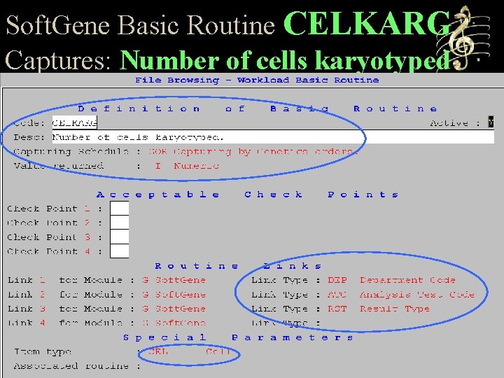 Soft. Gene Basic Routine CELKARG Captures: Number of cells karyotyped 
