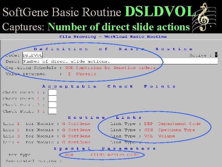 Soft. Gene Basic Routine DSLDVOL Captures: Number of direct slide actions 