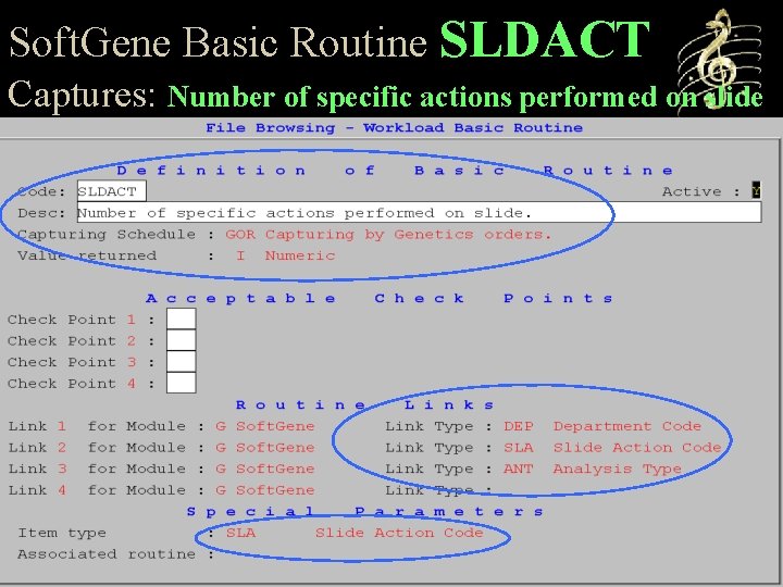 Soft. Gene Basic Routine SLDACT Captures: Number of specific actions performed on slide 
