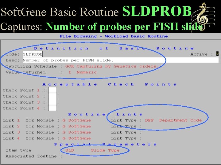 Soft. Gene Basic Routine SLDPROB Captures: Number of probes per FISH slide 