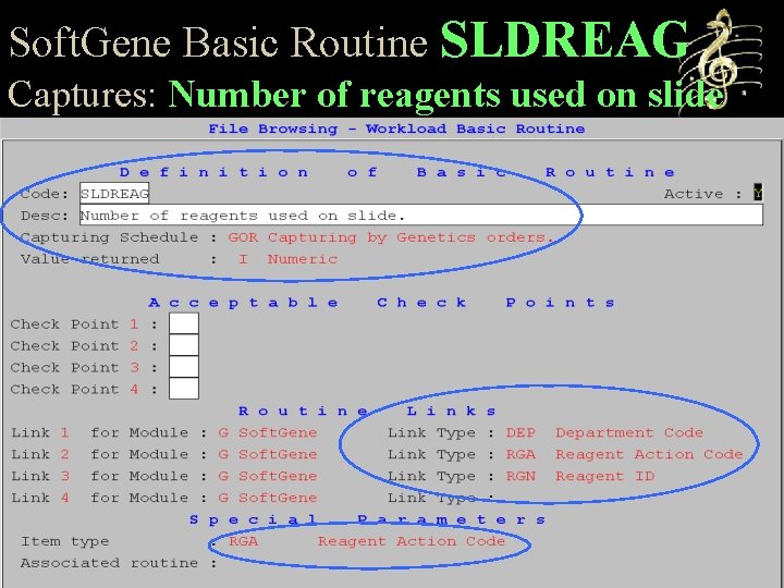 Soft. Gene Basic Routine SLDREAG Captures: Number of reagents used on slide 