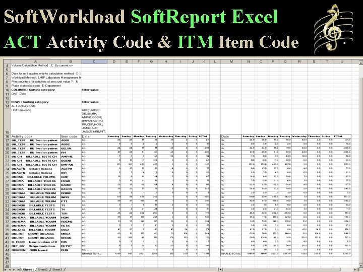 Soft. Workload Soft. Report Excel ACT Activity Code & ITM Item Code 