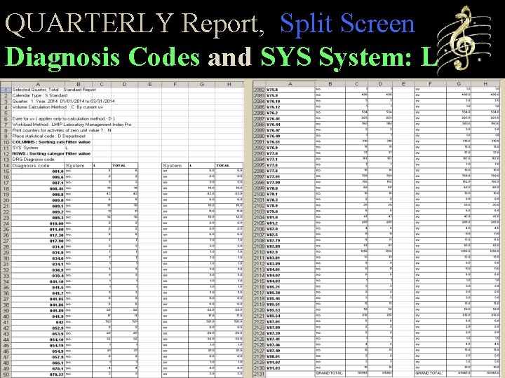 QUARTERLY Report, Split Screen Diagnosis Codes and SYS System: L 