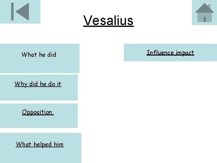 Vesalius What he did Why did he do it Opposition What helped him Influence