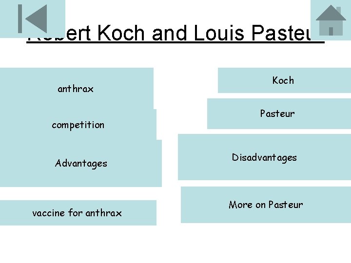 Robert Koch and Louis Pasteur anthrax competition Advantages vaccine for anthrax Koch Pasteur Disadvantages