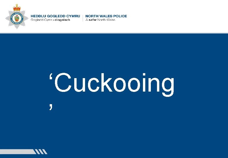 ‘Cuckooing ’ 