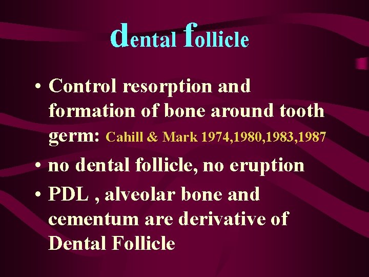 dental follicle • Control resorption and formation of bone around tooth germ: Cahill &