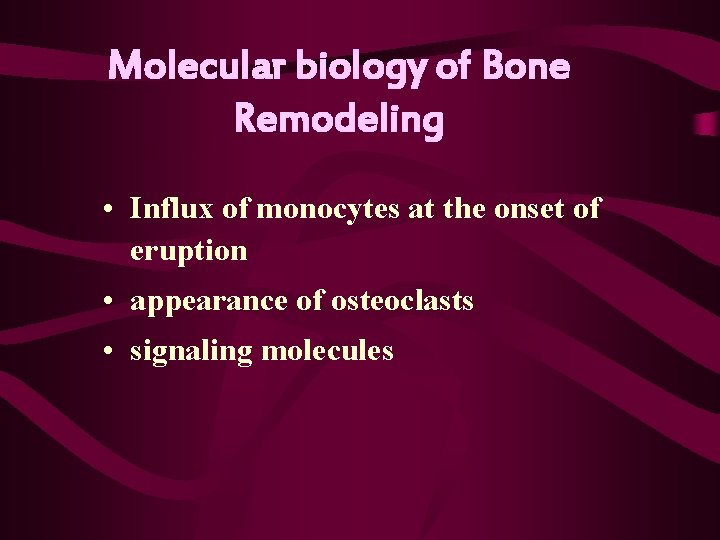 Molecular biology of Bone Remodeling • Influx of monocytes at the onset of eruption