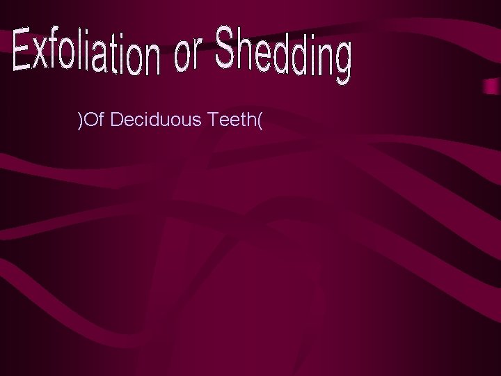 )Of Deciduous Teeth( 