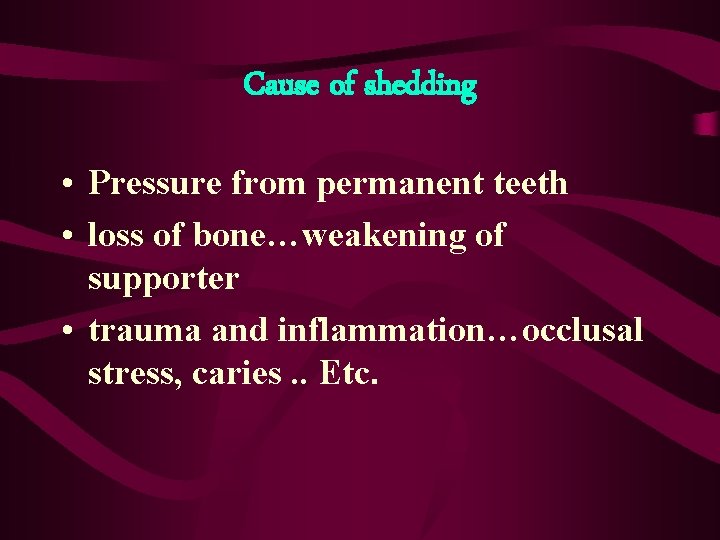Cause of shedding • Pressure from permanent teeth • loss of bone…weakening of supporter