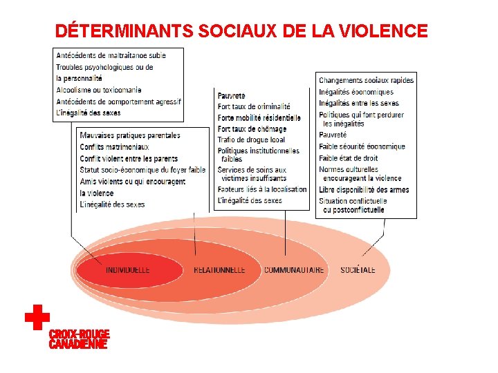DÉTERMINANTS SOCIAUX DE LA VIOLENCE 
