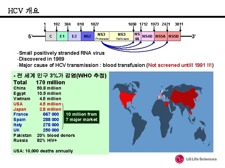 HCV 개요 1 5’ 192 C 384 E 1 810 E 2 1027 NS HCV 개요 1 5’ 192 C 384 E 1 810 E 2 1027 NS