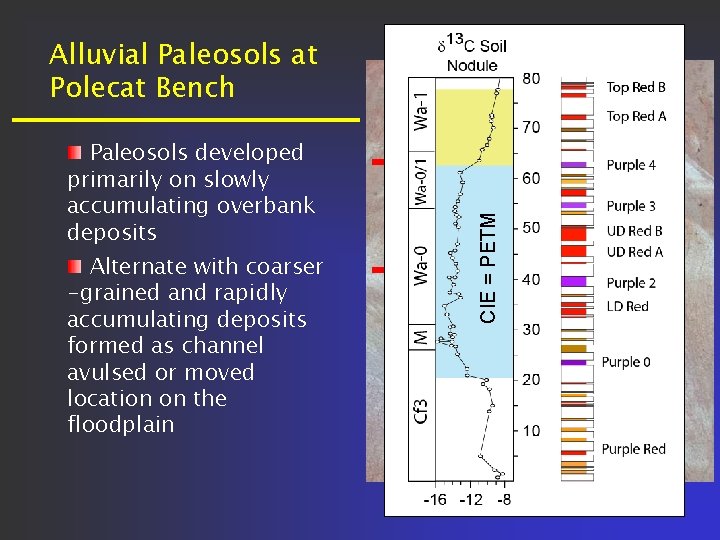 Paleosols developed primarily on slowly accumulating overbank deposits Alternate with coarser -grained and rapidly Paleosols developed primarily on slowly accumulating overbank deposits Alternate with coarser -grained and rapidly