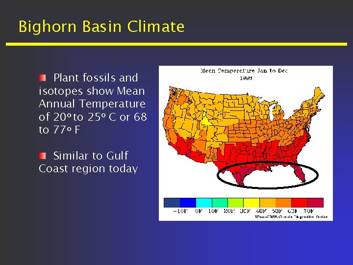 Bighorn Basin Climate Plant fossils and isotopes show Mean Annual Temperature of 20 o