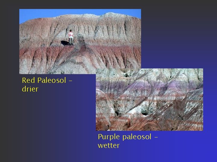 Red Paleosol drier Purple paleosol wetter Red Paleosol drier Purple paleosol wetter