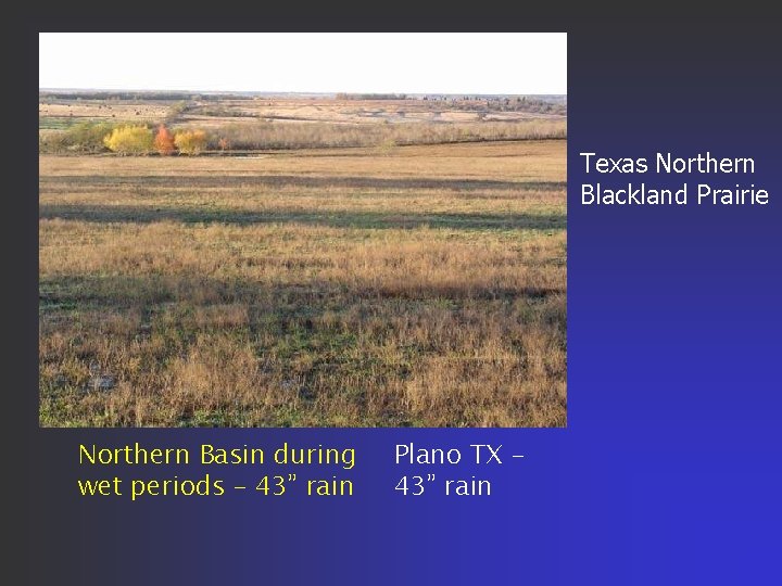Texas Northern Blackland Prairie Northern Basin during wet periods – 43” rain Plano TX