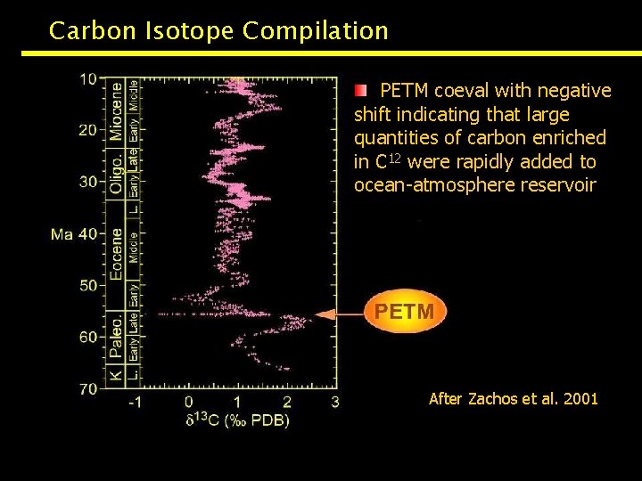 Carbon Isotope Compilation PETM coeval with negative shift indicating that large quantities of carbon