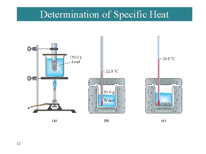 Determination of Specific Heat 11 