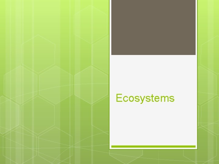 Ecosystems 