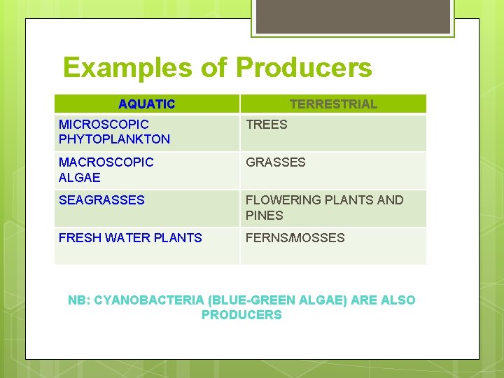 Examples of Producers AQUATIC TERRESTRIAL MICROSCOPIC PHYTOPLANKTON TREES MACROSCOPIC ALGAE GRASSES SEAGRASSES FLOWERING PLANTS