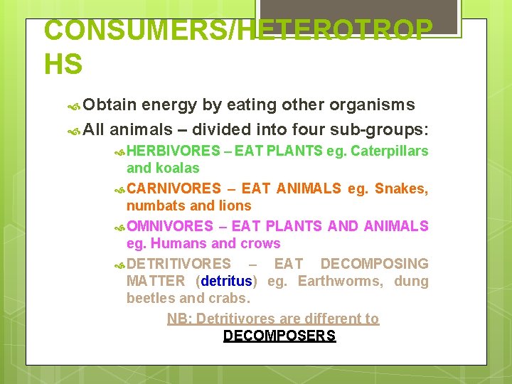 CONSUMERS/HETEROTROP HS Obtain energy by eating other organisms All animals – divided into four