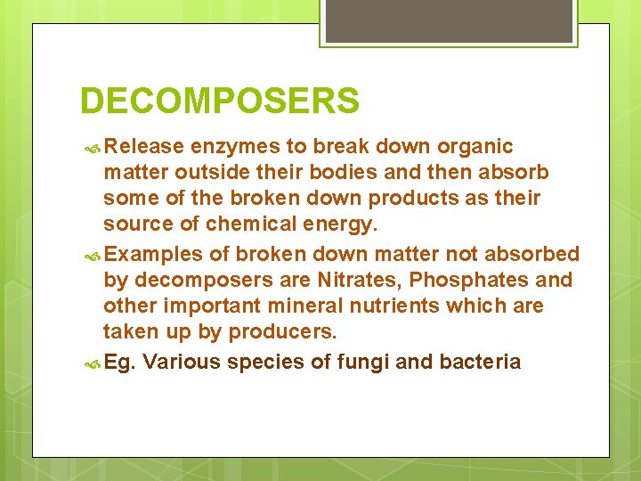 DECOMPOSERS Release enzymes to break down organic matter outside their bodies and then absorb
