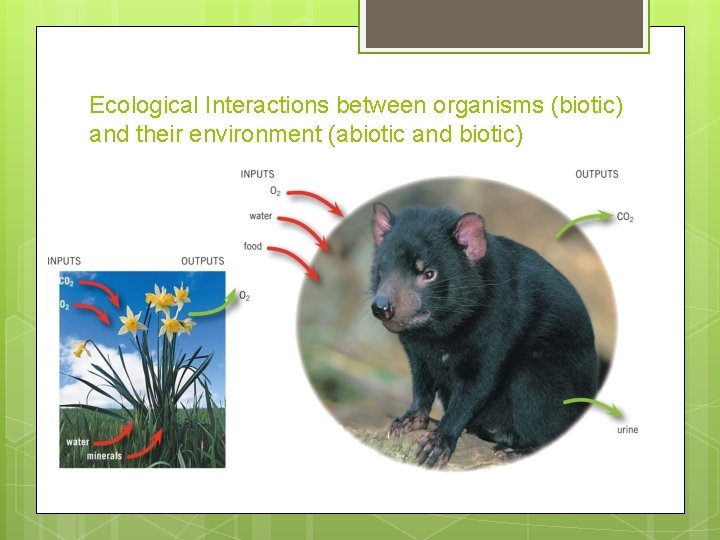 Ecological Interactions between organisms (biotic) and their environment (abiotic and biotic) 