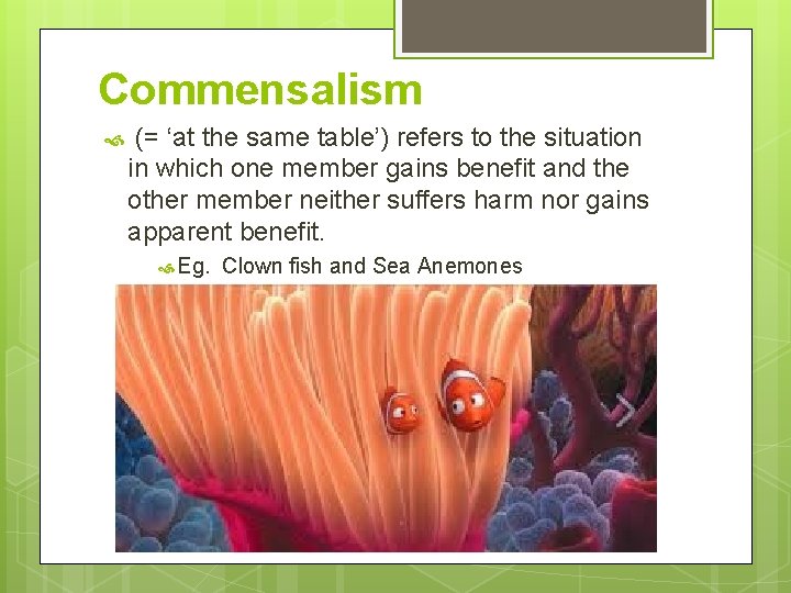 Commensalism (= ‘at the same table’) refers to the situation in which one member