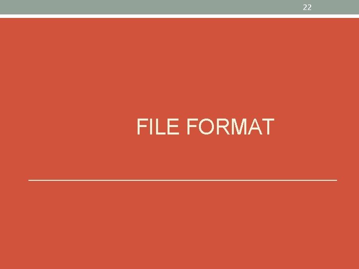 22 FILE FORMAT 