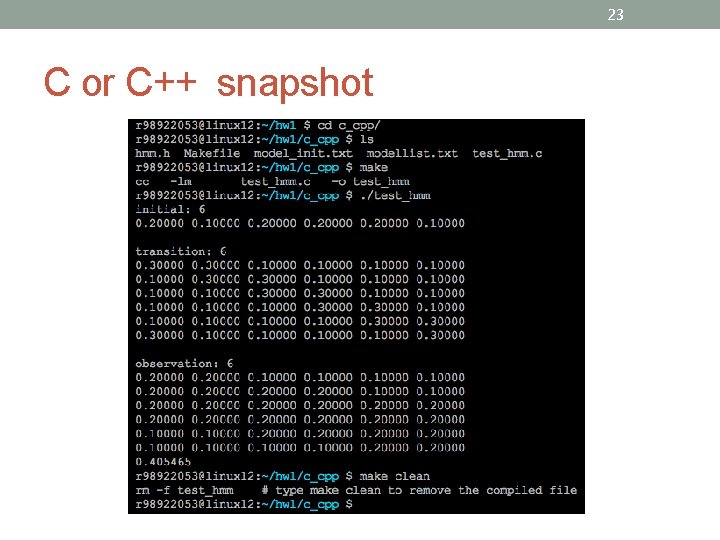23 C or C++ snapshot 