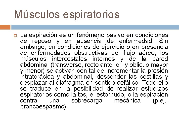 Músculos espiratorios La espiración es un fenómeno pasivo en condiciones de reposo y en