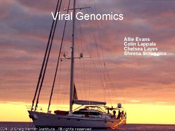 Viral Genomics Allie Evans Colin Lappala Chelsea Layes Sheena Scroggins 