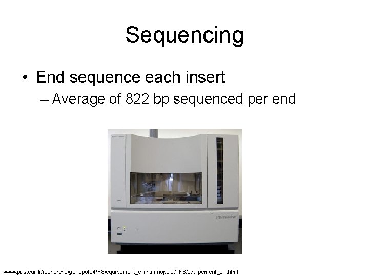 Sequencing • End sequence each insert – Average of 822 bp sequenced per end