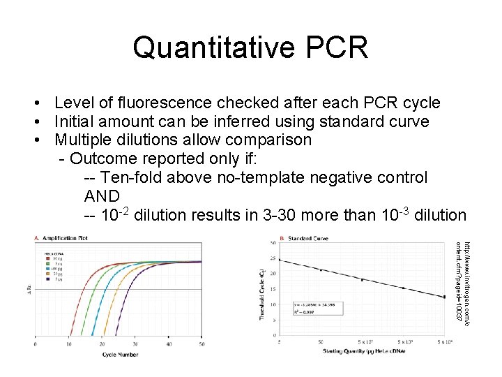 Quantitative PCR • Level of fluorescence checked after each PCR cycle • Initial amount