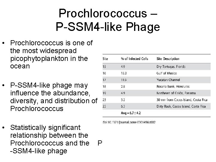 Prochlorococcus – P-SSM 4 -like Phage • Prochlorococcus is one of the most widespread