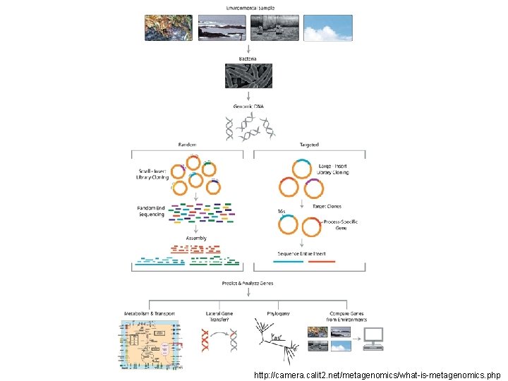 http: //camera. calit 2. net/metagenomics/what-is-metagenomics. php 