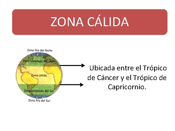 ZONA CÁLIDA Ubicada entre el Trópico de Cáncer y el Trópico de Capricornio. 