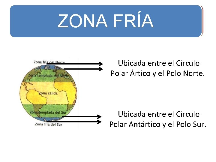 ZONA CÁLIDA ZONA FRÍA Ubicada entre el Círculo Polar Ártico y el Polo Norte.
