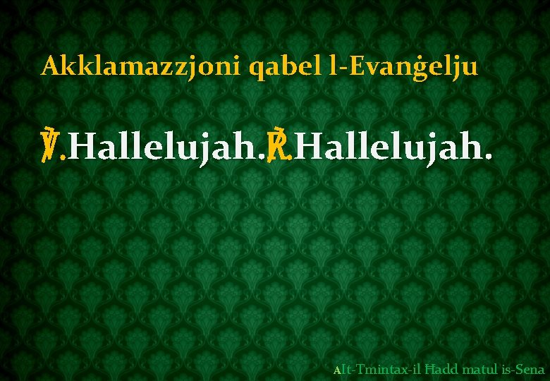 Akklamazzjoni qabel l-Evanġelju ℣. Hallelujah. ℟. Hallelujah. AIt-Tmintax-il Ħadd matul is-Sena 
