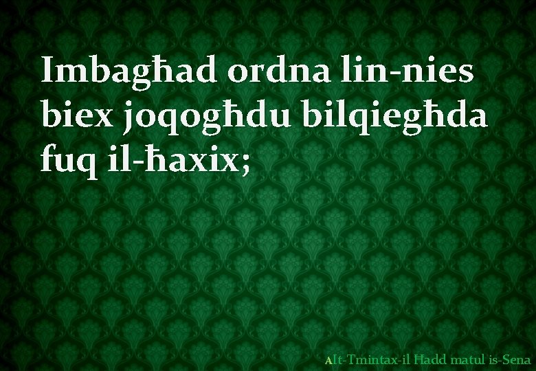 Imbagħad ordna lin-nies biex joqogħdu bilqiegħda fuq il-ħaxix; AIt-Tmintax-il Ħadd matul is-Sena 