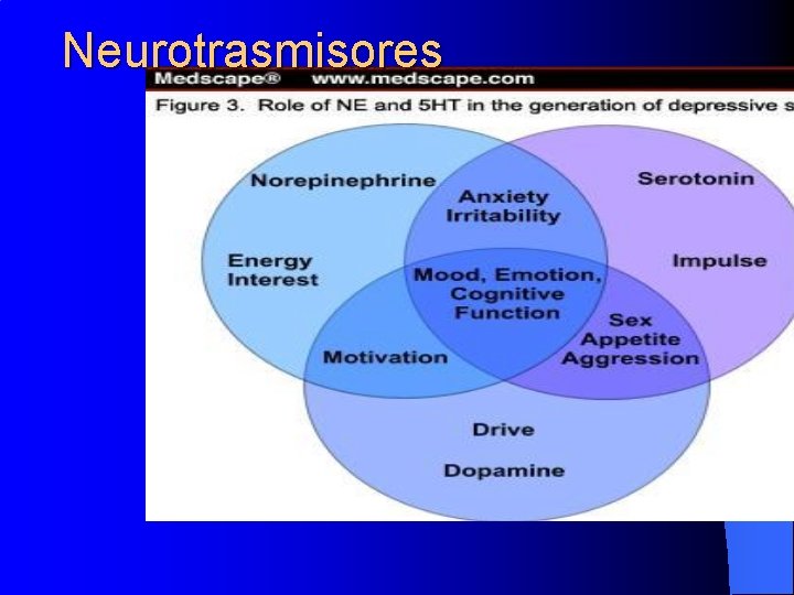 Neurotrasmisores 