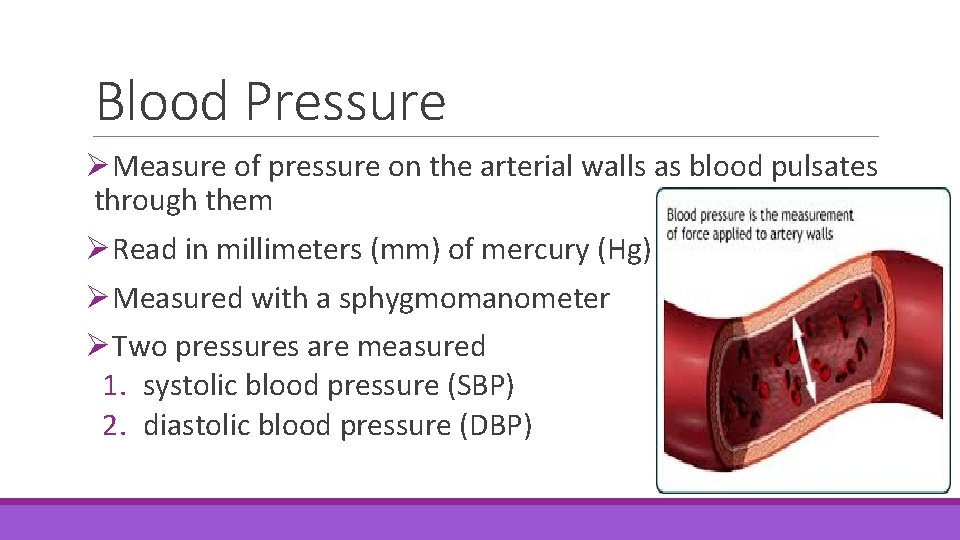 Blood Pressure ØMeasure of pressure on the arterial walls as blood pulsates through them