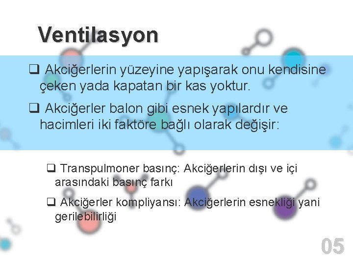 Ventilasyon q Akciğerlerin yüzeyine yapışarak onu kendisine çeken yada kapatan bir kas yoktur. q