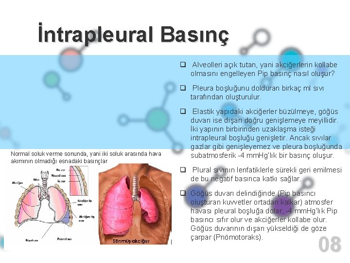 02İntrapleural Basınç q Alveolleri açık tutan, yani akciğerlerin kollabe olmasını engelleyen Pip basınç nasıl