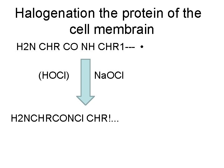 Halogenation the protein of the cell membrain H 2 N CHR CO NH CHR