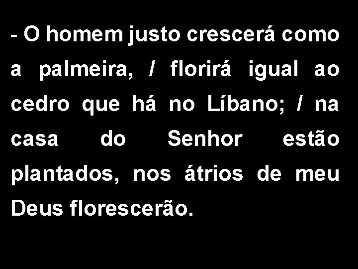 - O homem justo crescerá como a palmeira, / florirá igual ao cedro que - O homem justo crescerá como a palmeira, / florirá igual ao cedro que