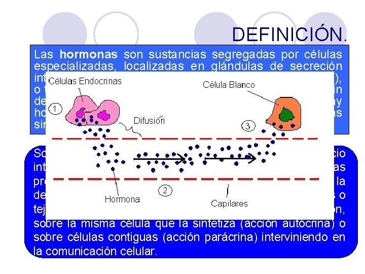 DEFINICIÓN. Las hormonas son sustancias segregadas por células especializadas, localizadas en glándulas de secreción