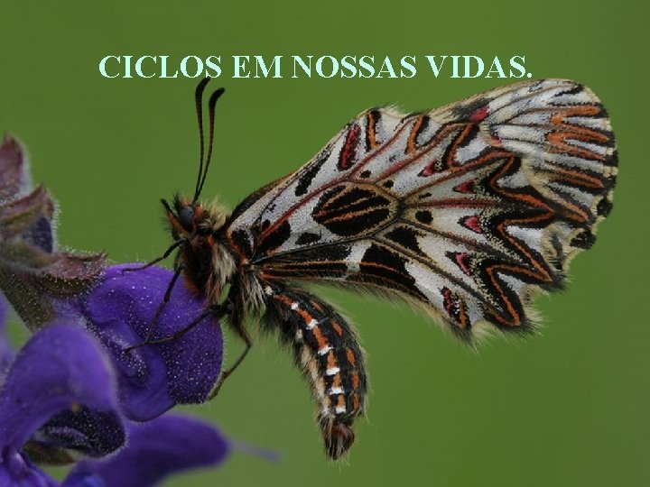 CICLOS EM NOSSAS VIDAS. 