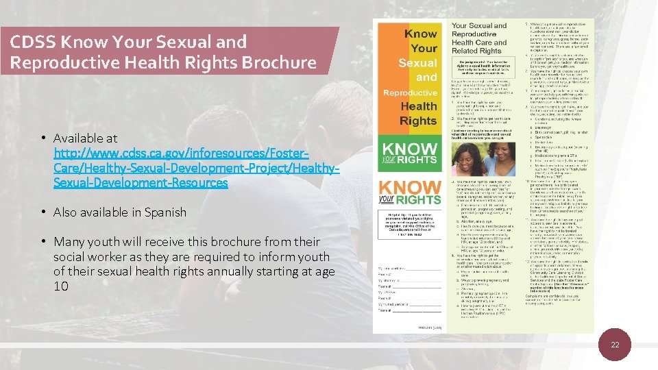 Sexual and Reproductive Wellness for Youth in Foster
