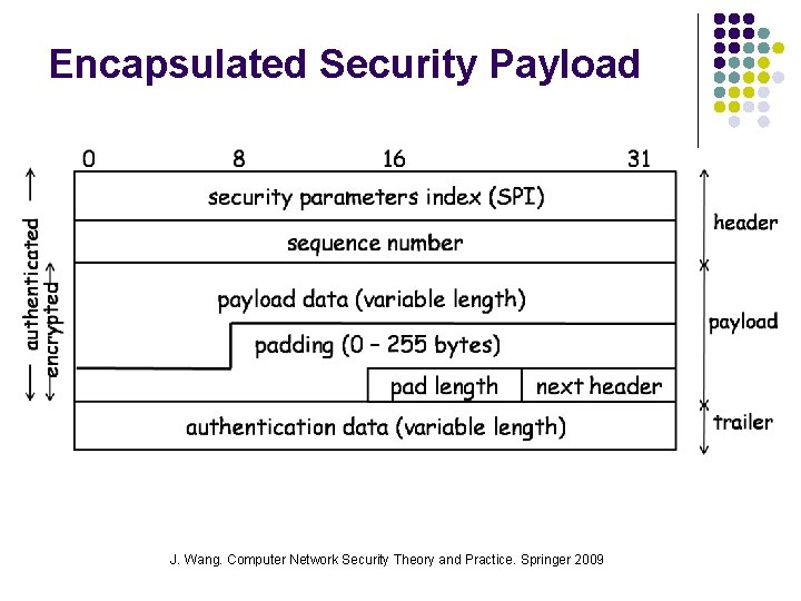 Encapsulated Security Payload J. Wang. Computer Network Security Theory and Practice. Springer 2009 